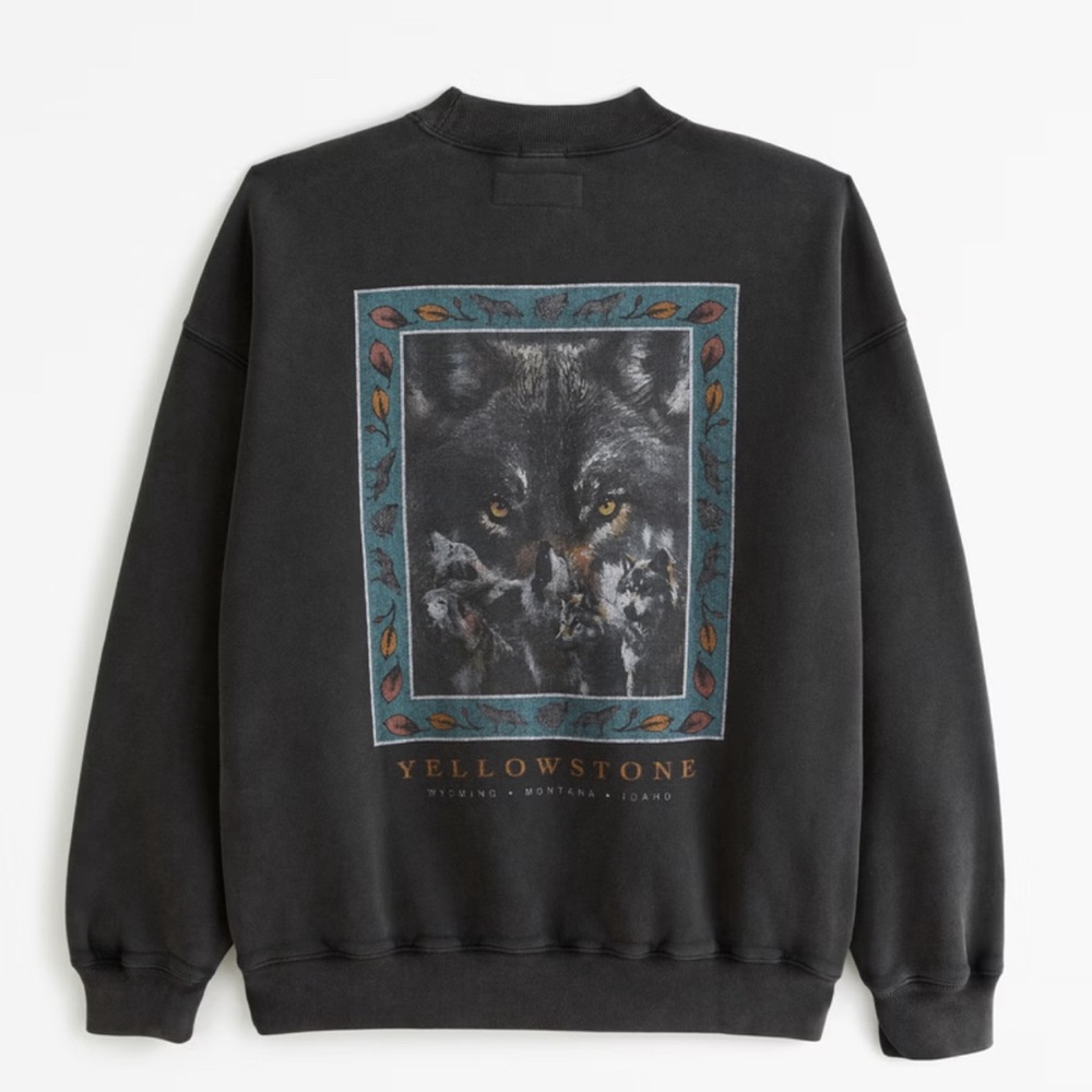 Abercrombie and Fitch Yellowstone Pullover Hoodie Sweatshirt